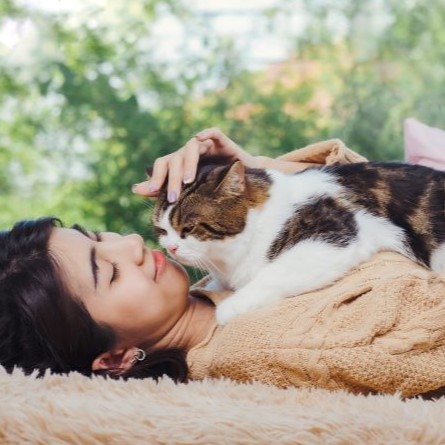 Does your cat love you? Take our quiz to find out!
