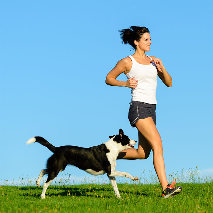 The importance of exercise for adult dogs