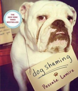 Dog Shaming book