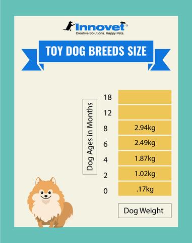 Dog Growth Chart - Toy Size Dogs, Examples of the Toy Breed include: Chihuahua, Italian Greyhound, English Toy Spaniel, Toy Poodle, Karst Shepherd, Beaglier, Russian Tsvetnaya Bolonka