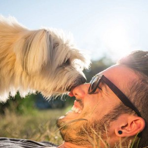 Dog Adoption Guide: Tips on Bringing Your Rescue Dog Home