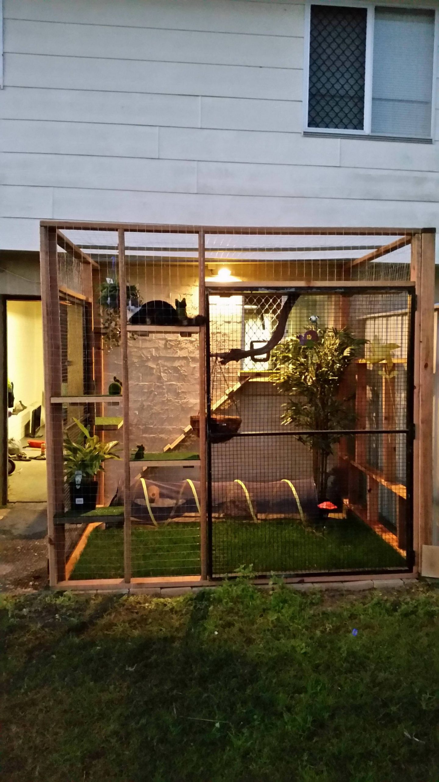 Catio for our indoor kitty