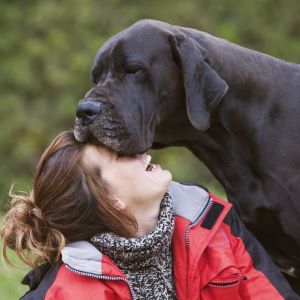 Does your dog love you? Take our quiz to find out!
