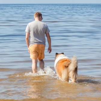 Summer exercise & water play - Tips to keep dogs cool & fit