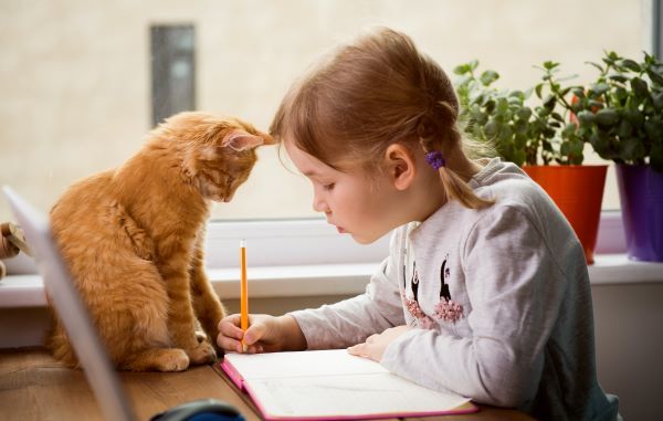Educate at home. Child girl make homework with pet cat.