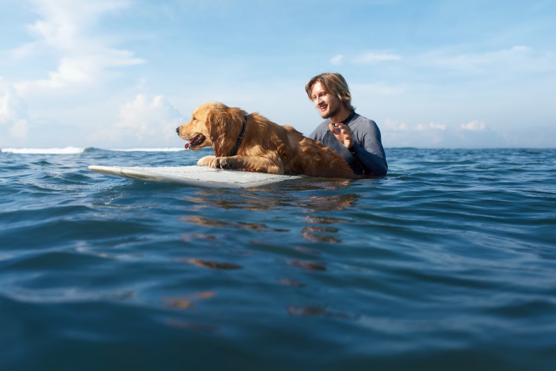 Surfing. Handsome Surfer With Dog On Surfboard Swimming In Ocean