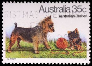 A 35-cent stamp printed in the Commonwealth of Australia shows an adult and puppy of the Australian terrier dog