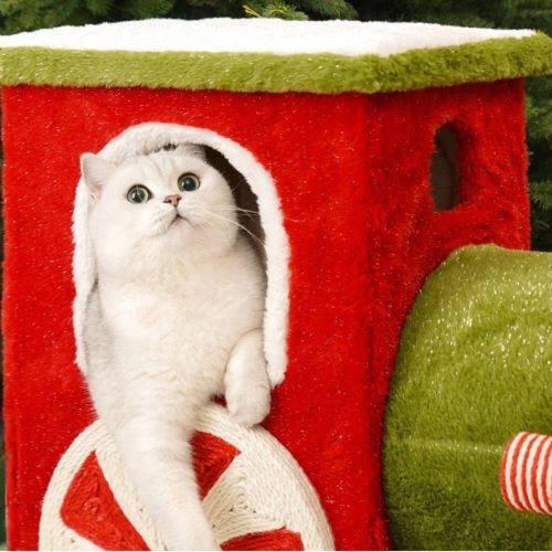 Christmas presents for your cat – The gifts our kitties really want!